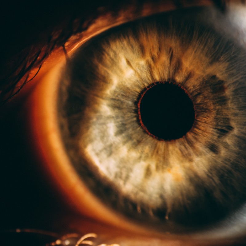 Detailed close-up of eye iris